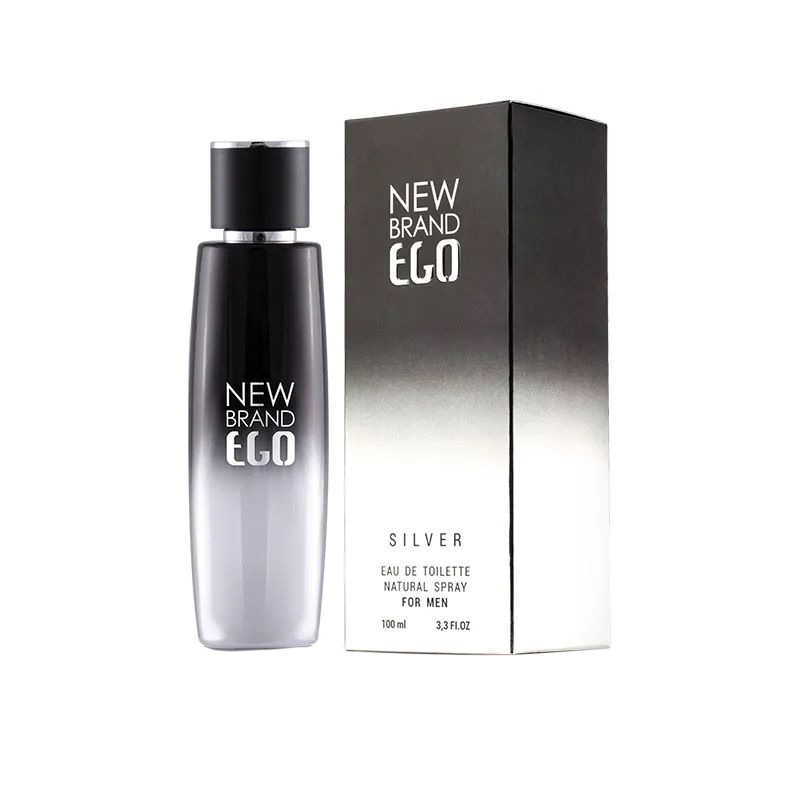 ادوپرفیوم مردانه نیو برند مدل Silver Men